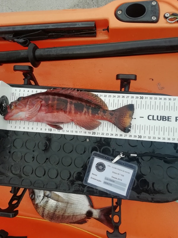 Fish Measure Picture